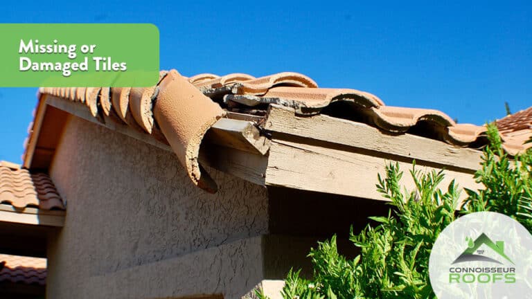 Read more about the article Top 5 Signs Your Roof Needs Immediate Leak Repairs