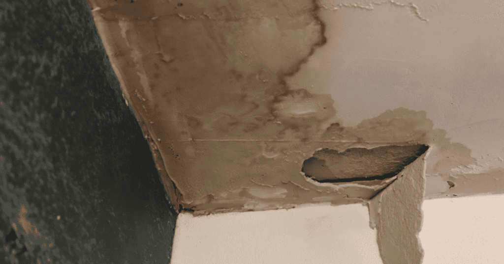 Balcony Waterproofing problem common signs